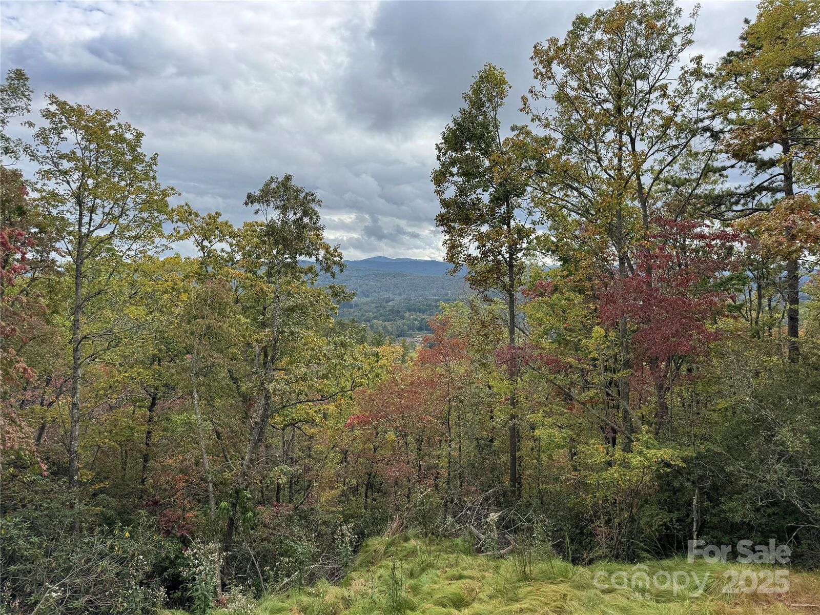 Property Photo:  00 Normcol Road  NC 28768
