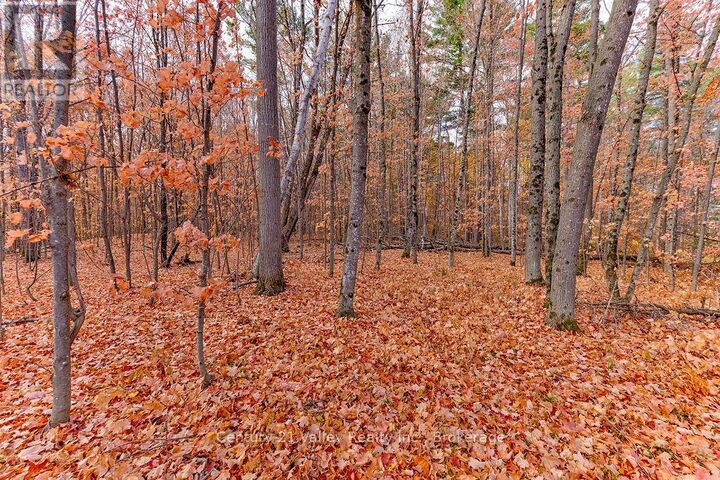 0 Rocky Point Drive  Bonnechere Valley ON K0J 1X0 photo