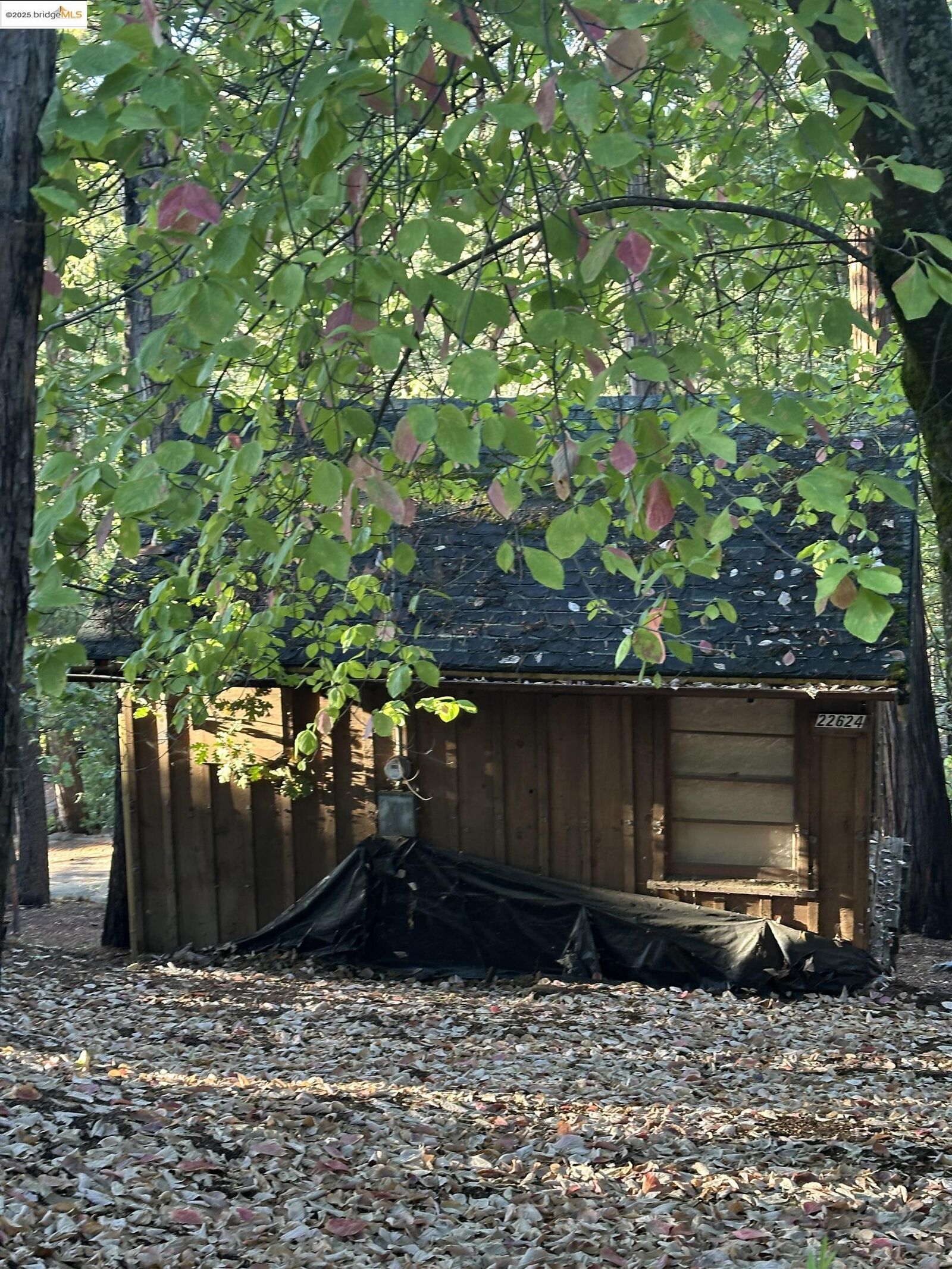 Property Photo:  22624 Tamarack Dr  CA 95383 