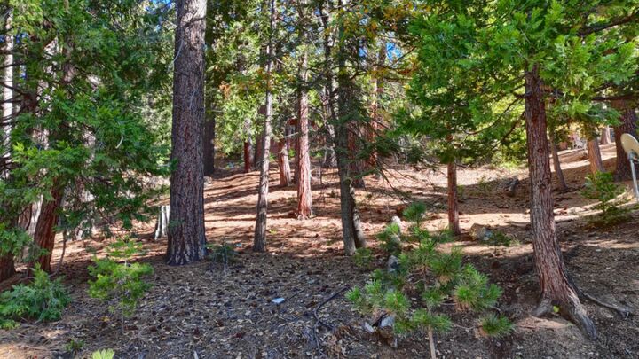 Property Photo:  7232 Yosemite Park Way  CA 95389 