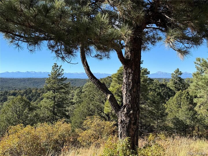 Property Photo: 33250 Fox Trail CO 81082