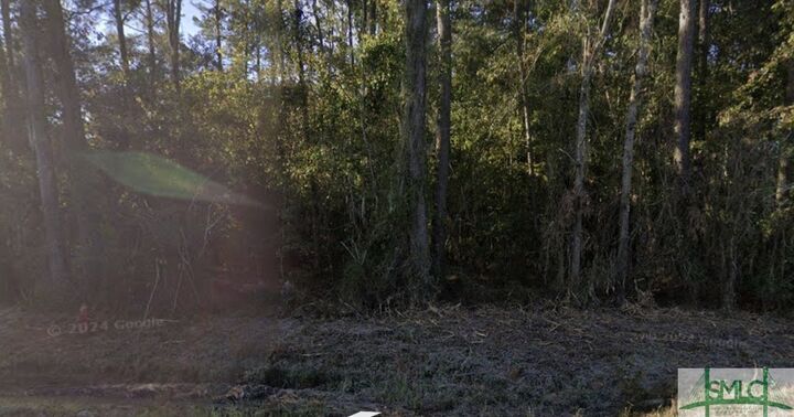 Property Photo: 1 Ac E Oglethorpe Highway GA 31320