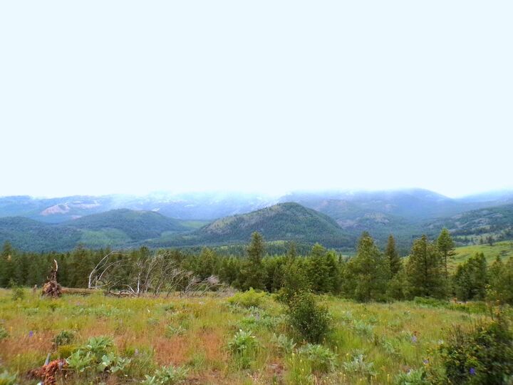 Property Photo: #B Vista View Ln WA 99138