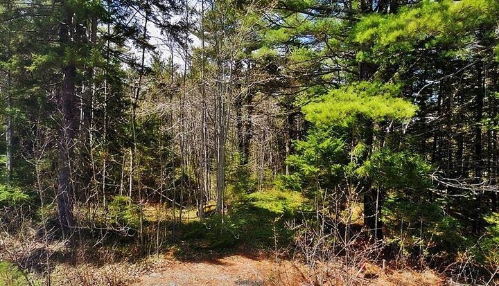 Mount Pleasant Road — photo 1