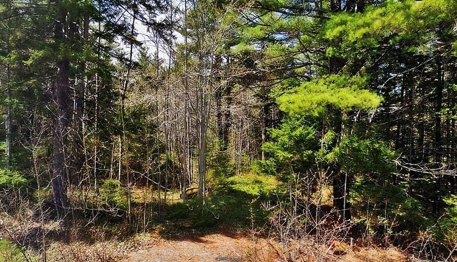 Property Photo:  Mount Pleasant Road  NS B0R 1G0 