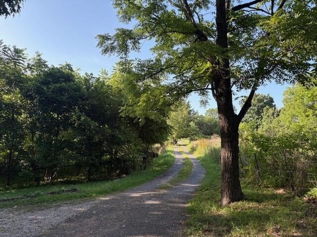 Property Photo:  721 Highway 65  AR 72650 