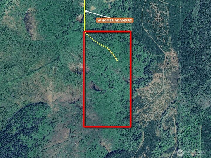 Property Photo:  981 W Homer Adams Road  WA 98541