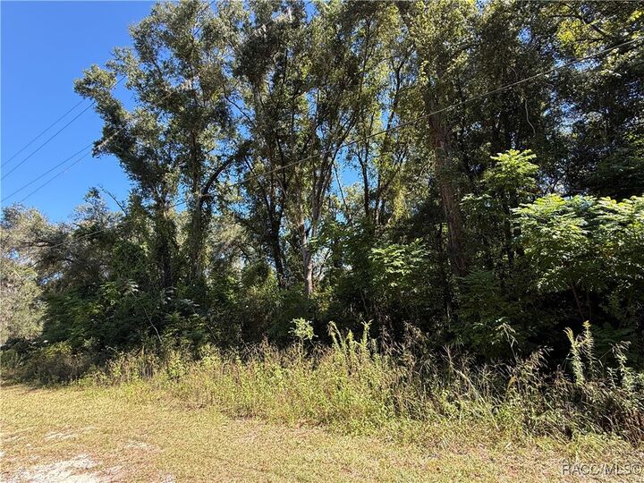 Property Photo: 759 N Corbin Avenue FL 34453