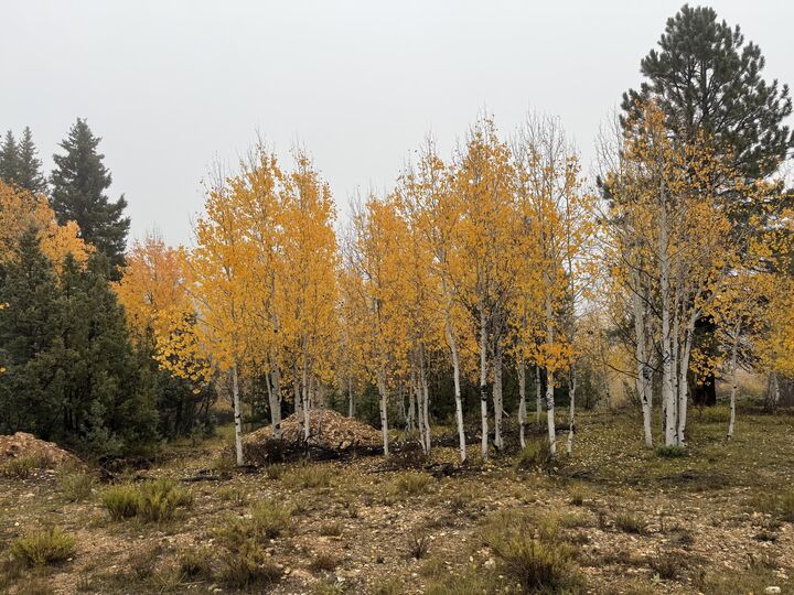 Property Photo: 3215 E Debonair Dr UT 84762