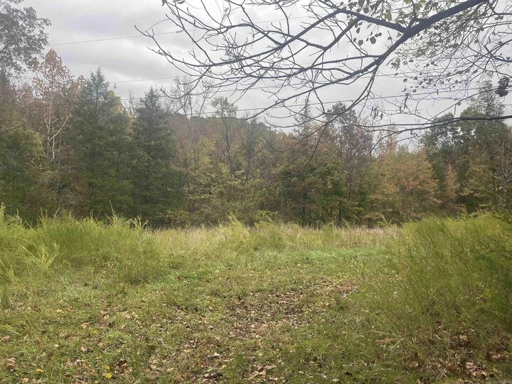 Property Photo:  618 Driftwood Drive  AR 72566 