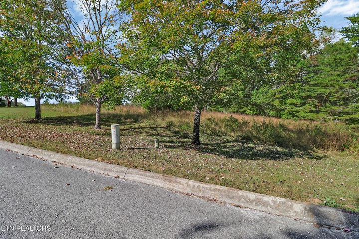 Property Photo:  Lot 34 Indigo Bunting Drive  TN 37748 