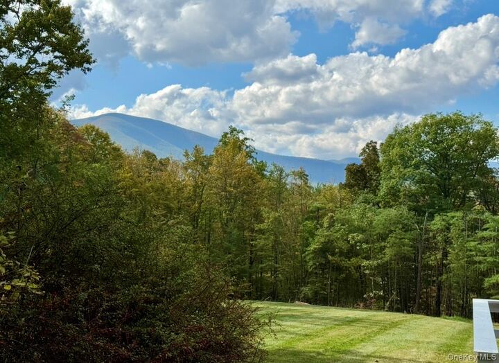 Property Photo:  4723 State Route 213  NY 12461 