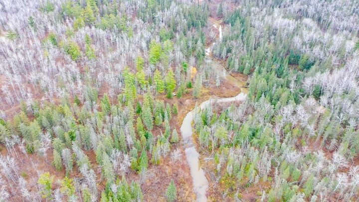 Property Photo: 992 Nemadji River Rd MN 55749