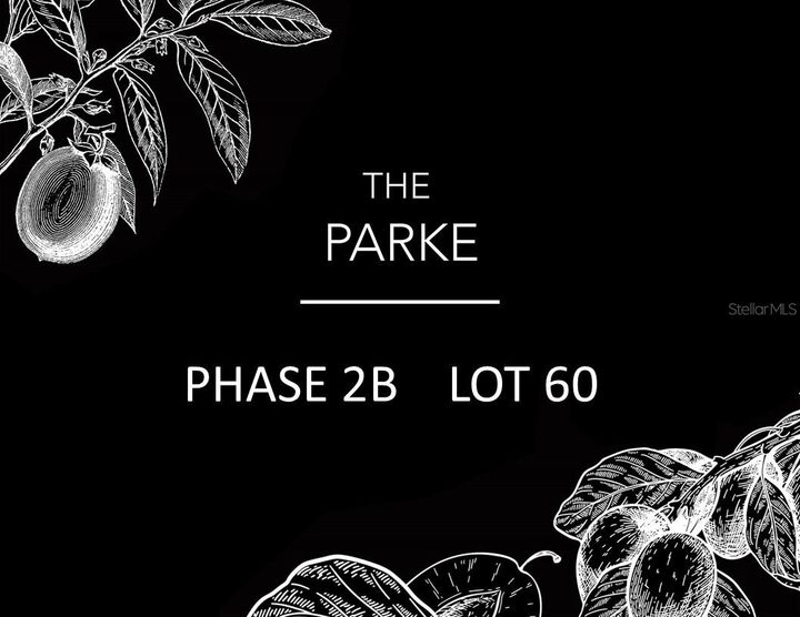 5477 SW 125th Circle  Archer FL 32618 photo