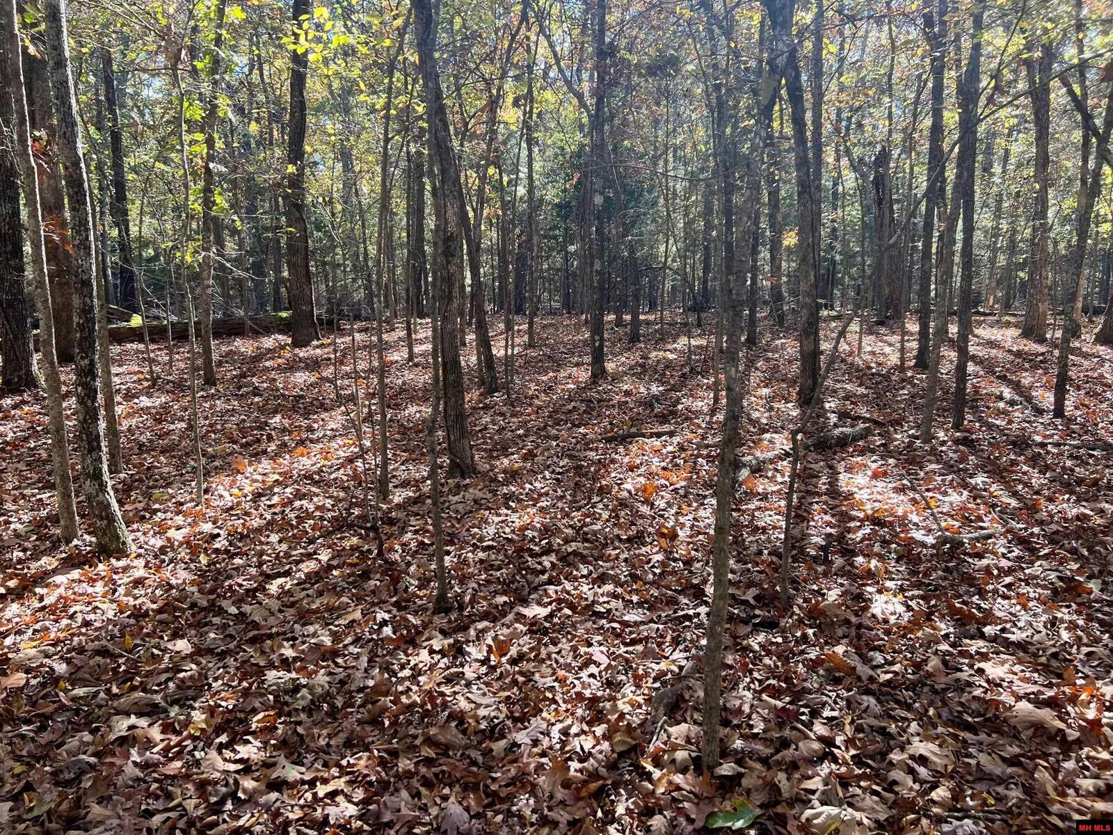 Property Photo:  760 25348 000 Madrid Place  AR 72619 