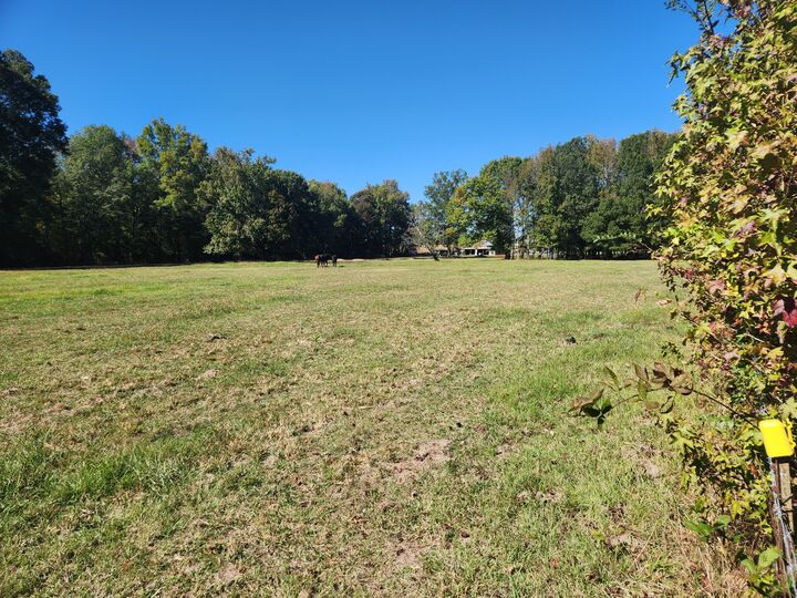 Property Photo:  0 Old Alto Hwy  TN 37324 