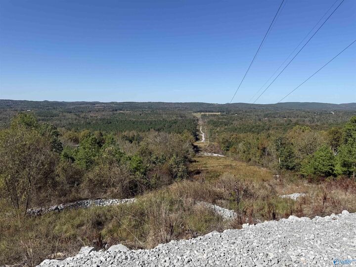 Property Photo: 116 Acres Lay Springs Road AL 35904