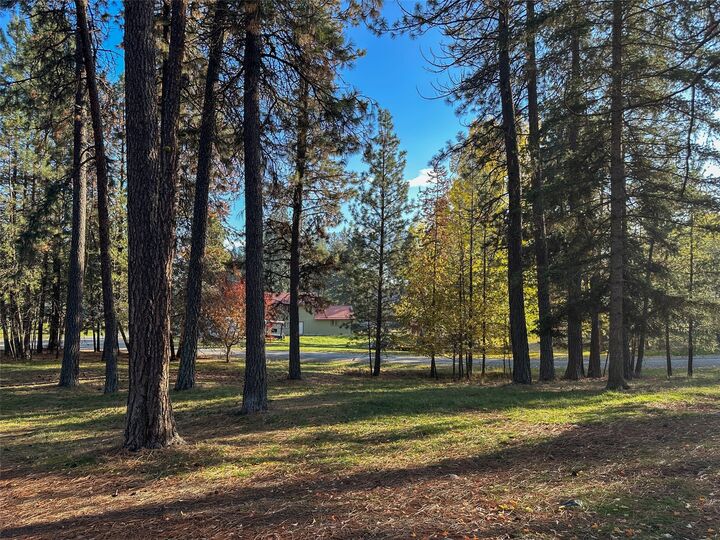 Property Photo:  205 Kaniksu Court  MT 59873 