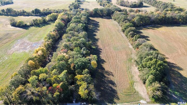 Property Photo:  6375 S Forest Church Road  IL 62812 