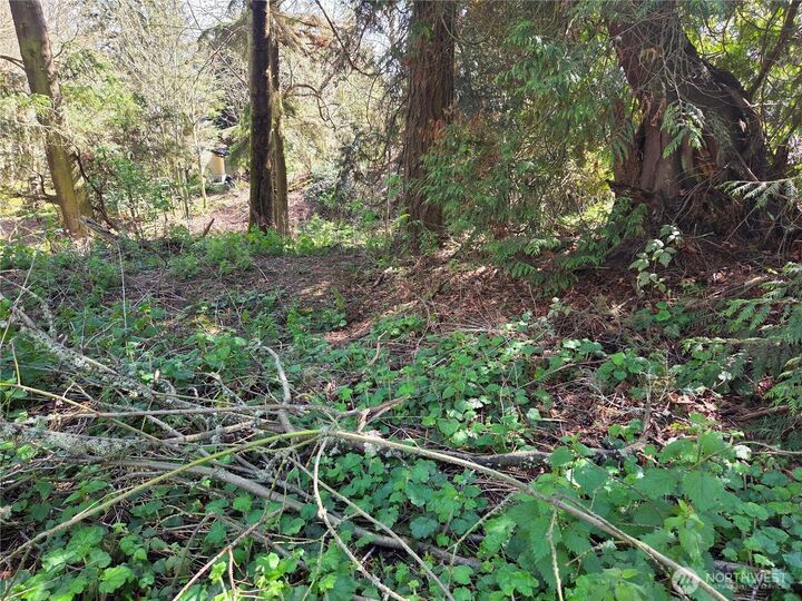 Property Photo:  12 W  Gedney Way  WA 98206 