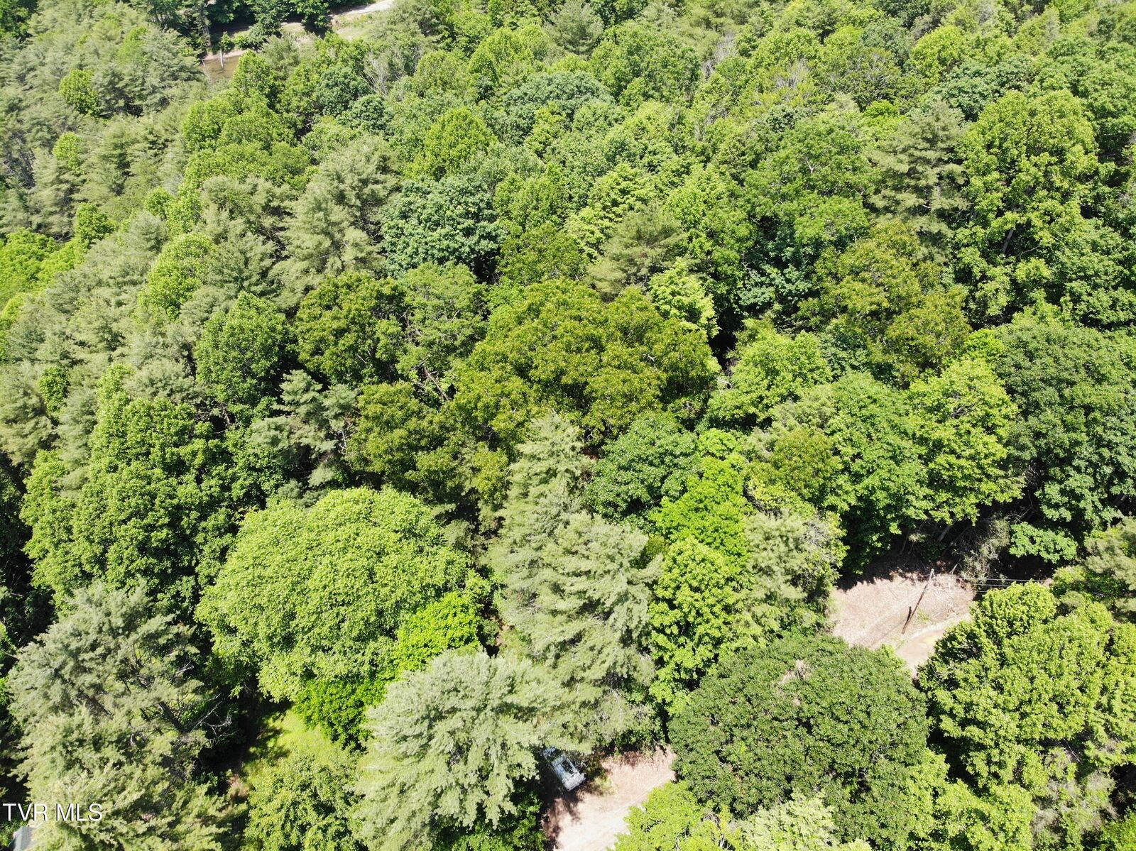 Property Photo:  000 Woodchuck Way  TN 37683 
