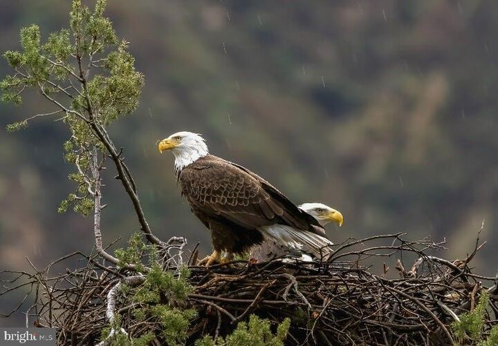 Property Photo:  614 Graystones Jeras Rd Lot Hv-1  PA 18210 