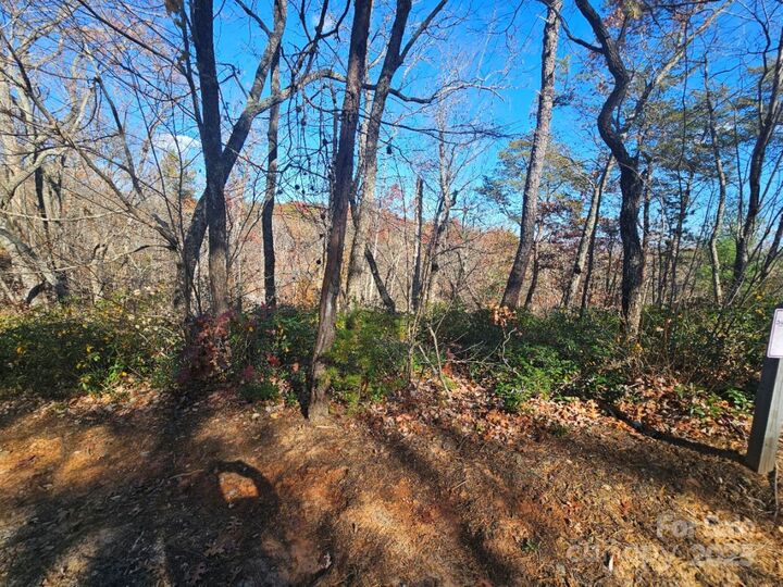 Property Photo:  0 Lure Ridge Drive 1  NC 28746 