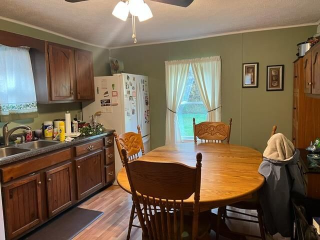 Property Photo: 31 Campigatta Hollow KY 41265