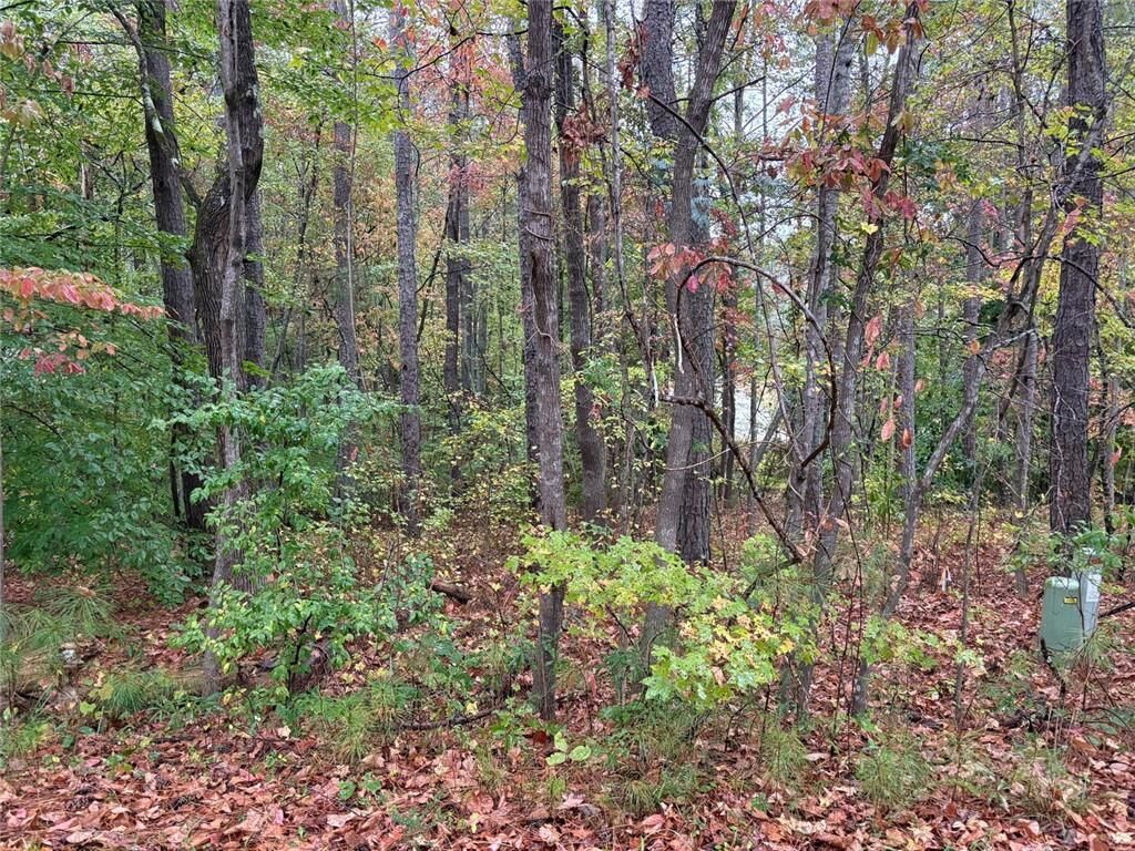 Property Photo: 2313 Larchmont Court GA 30180