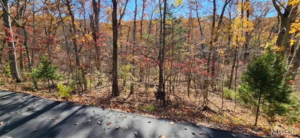 Property Photo:  1713 Eleanor Court  MO 63357 