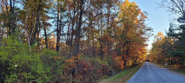 Property Photo:  0 Harbor Drive  MI 49449 