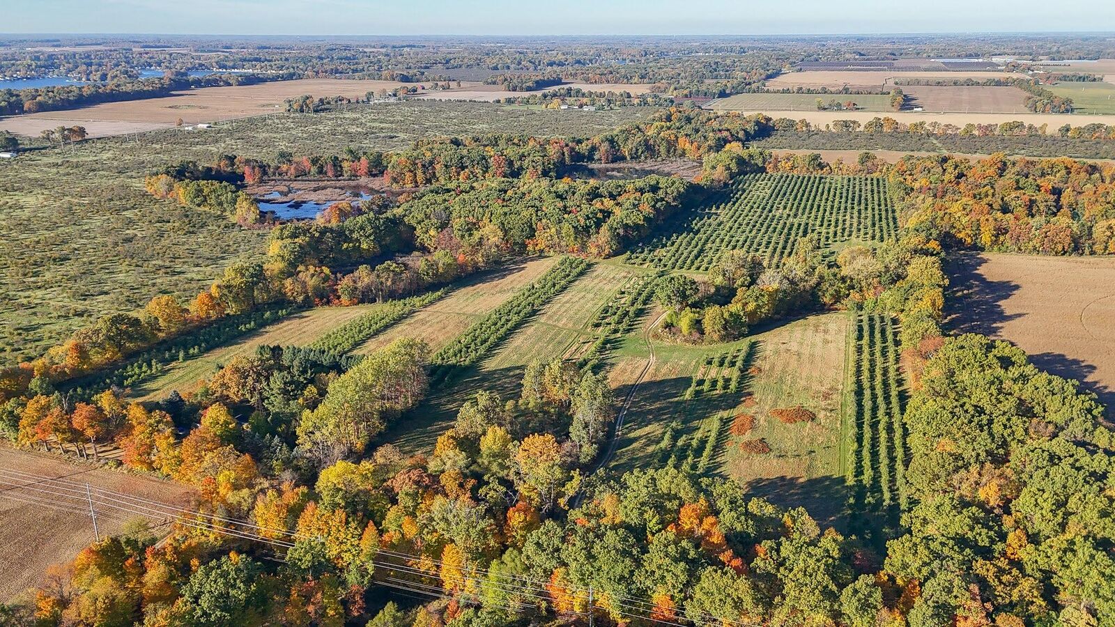 Property Photo:  Vl 62nd Street  MI 49045 