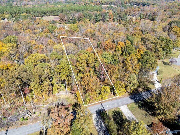 Property Photo: 355 Buffalo Creek Drive AL 35773