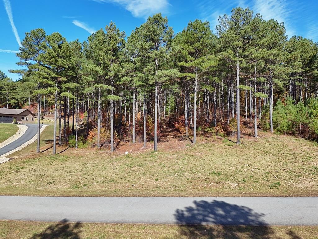 Property Photo:  Lot168 Stables Loop  GA 30512 