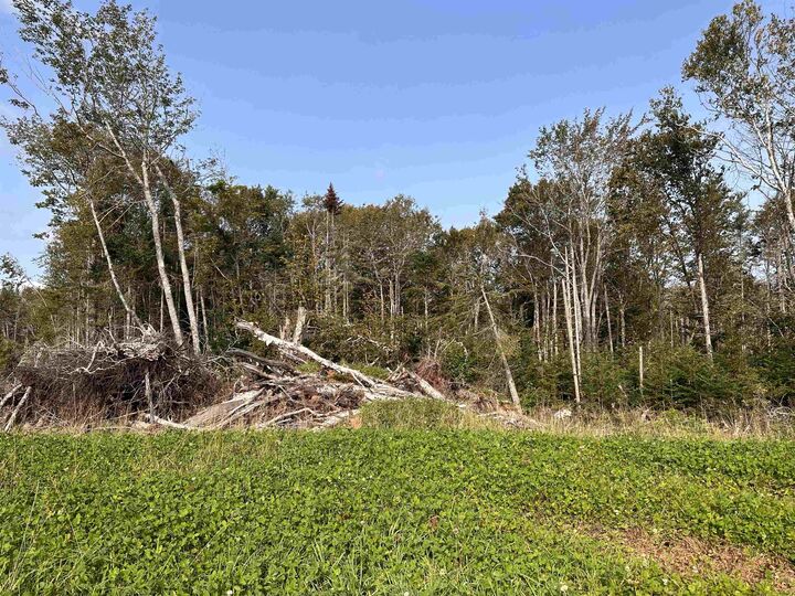 Lot 153 Windsor Drive — photo 1
