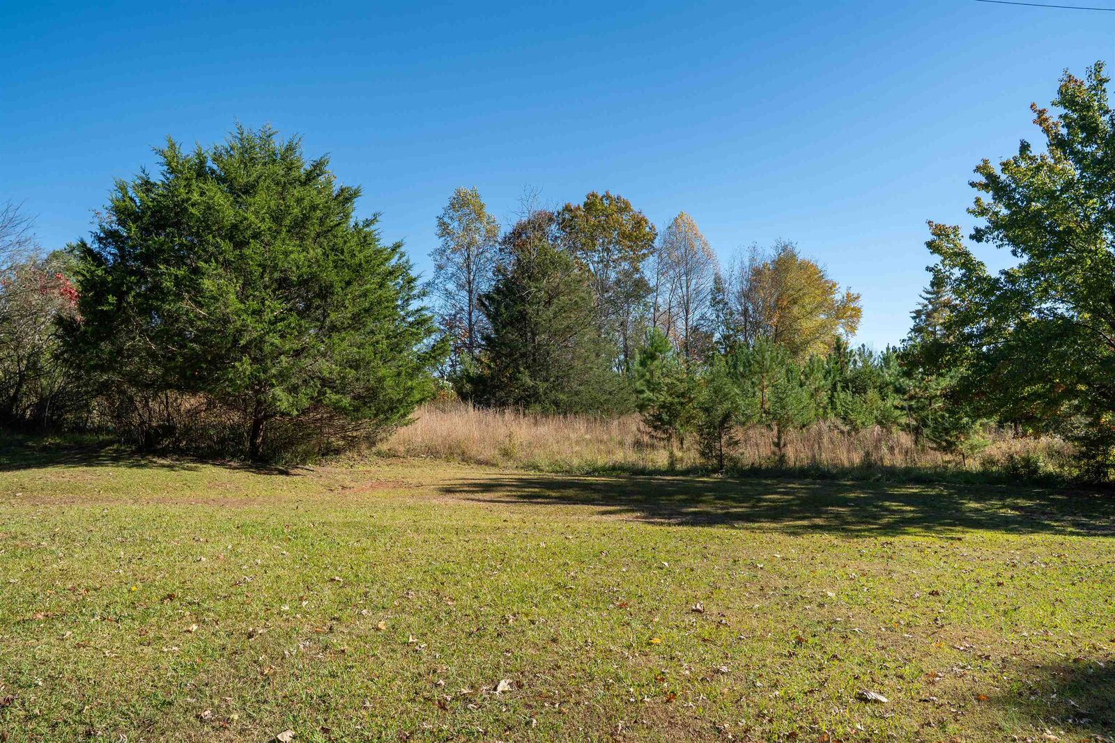 Property Photo:  523 McDade Road ***  NC 28782 