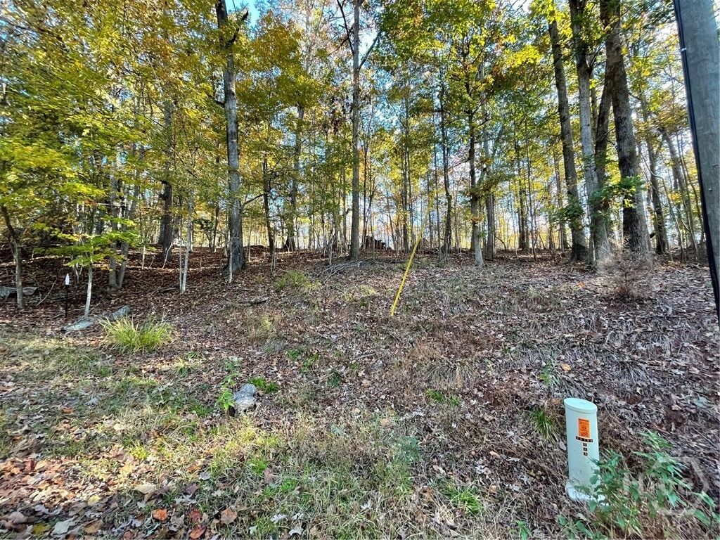 Property Photo: Lot 87 N Foxglove Road SC 29693