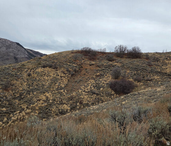 Property Photo: 12898 E High Pine Cir 176 UT 84317