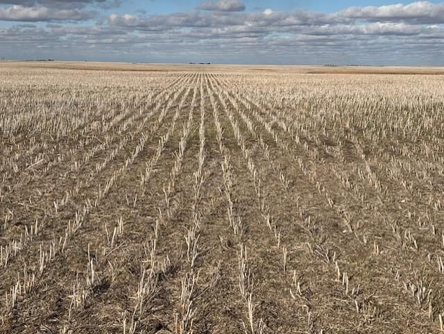 Property Photo:  Unknown  MB R0M 1K0 