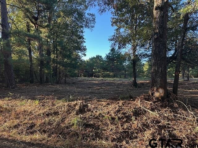 Property Photo:  Tbd Cr 1552  TX 75669 