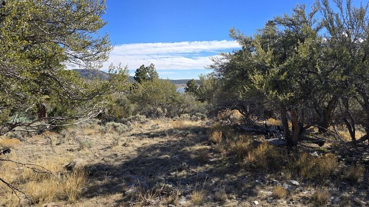 Property Photo:  386 N Elk Drive Dr  UT 84759 