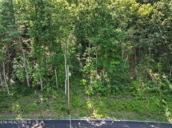 Property Photo:  Emerald Springs Loop  TN 37862 