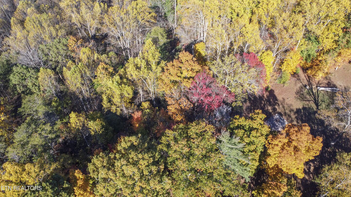 Property Photo: 5547 Hutton Ridge Rd TN 37801