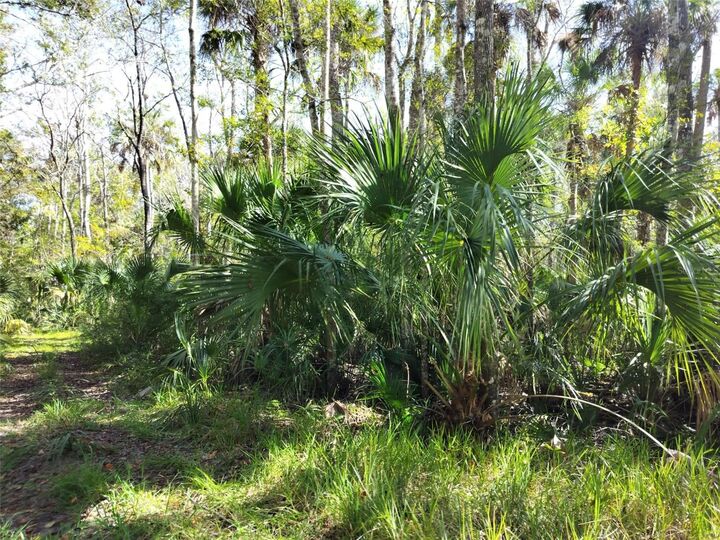 Property Photo:  10008 W Pennsylvania Street  FL 34448 