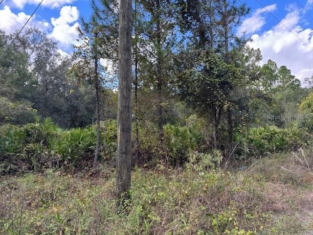 Property Photo: 12th Avenue FL 32724