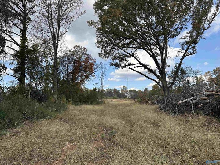 Property Photo:  5.4 Acres Burwell Road  AL 35749 