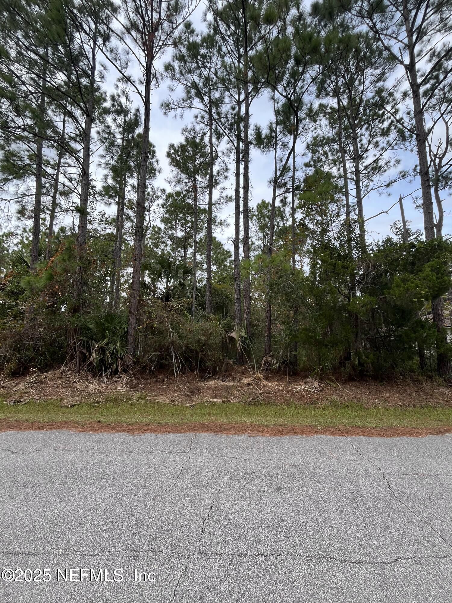 Property Photo:  17 Slipper Trail  FL 32164 