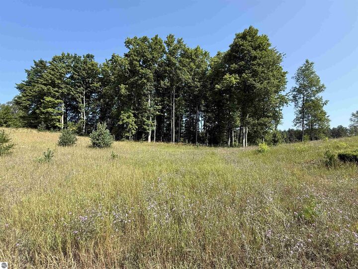 Property Photo:  Parcel A6 S Bright Road  MI 49664 