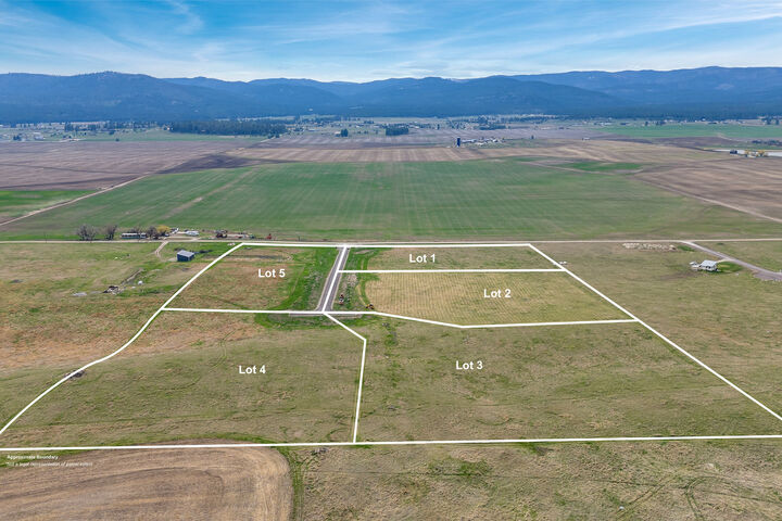 Property Photo:  135 Blue Moon Court  MT 59901 