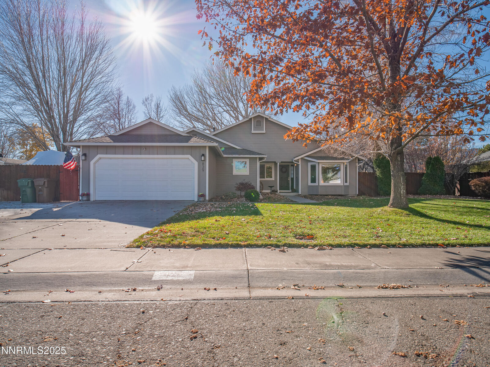 Property Photo: 829 Mahogany Drive NV 89423